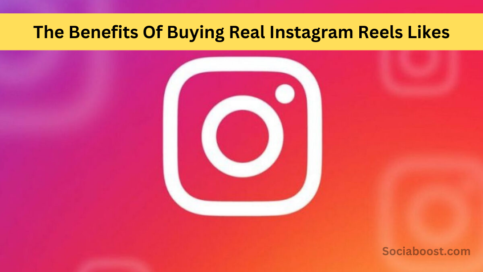 Real Instagram Reels Likes